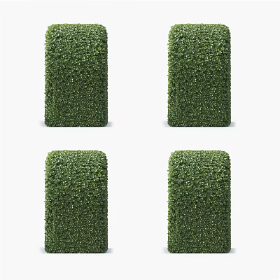 Four Well Trimmed Columnar Green Bushes For Garden Landscape Decoration 3d model