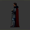 Man Standing in Shiny Medieval Armor With Red Cape Holding Sword