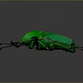Vibrant Green Flying Beetle with Shiny Exoskeleton Detailed Legs and Dark Background