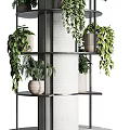 Stylish White Pillar With Black Metal Multi tiered Shelves And Potted Plants On Circular Base