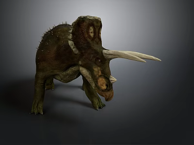 Realistic 3D Triceratops Dinosaur Character With Large Horns And Facial Frill 3d model
