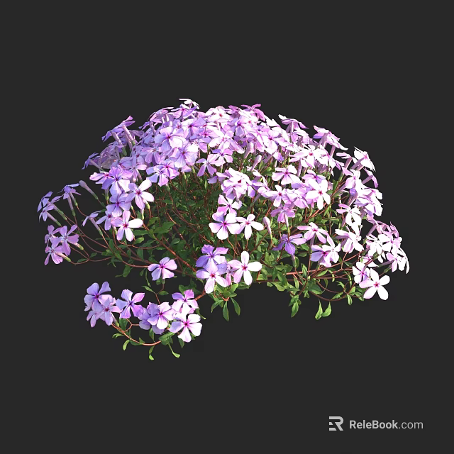 Blooming Clustered Small Purple Flowers With Green Leaves Forming Round Bush 3d model 