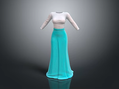 White Long Sleeve Fitted Top With Light Blue Flared Maxi Skirt Fashion Outfit 3d model