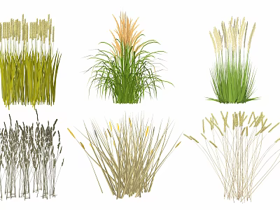 Various Types Of Decorative Grasses With Colorful Green Orange And Brown Hues 3d model