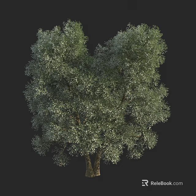 Vibrant Arbor With Lush Green Foliage Strong Trunk And Dense Canopy 3d model 