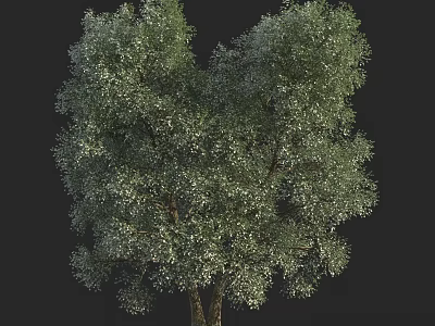 Vibrant Arbor With Lush Green Foliage Strong Trunk And Dense Canopy 3d model