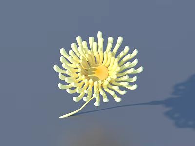 Yellow Aquatic Plant Displaying Delicate Slender Tentacles In Radial Structure In Clear Underwater Environment 3d model