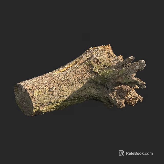 Natural Stone Wood Tree Stump With Rough Texture And Organic Surface 3d model