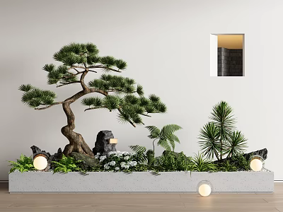 Indoor Landscape Design With Bonsai Pine Stone Greenery And Recessed Window Lights 3d model