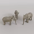 Three Gray Elephants Family Group With Adult And Baby Standing Against White Background