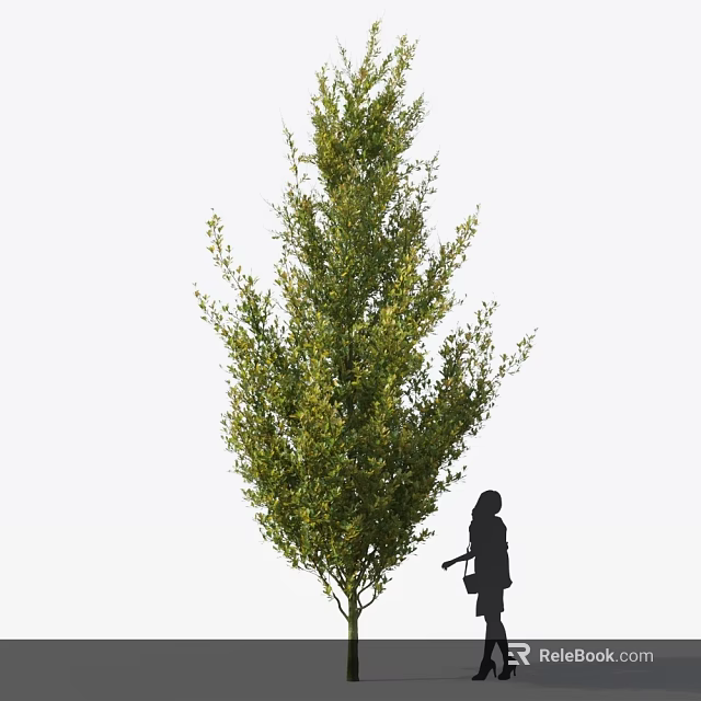 Tall Arbor With Lush Green Foliage And Person Silhouette Standing Beside Showcasing Natural Beauty 3d model 