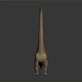 Realistic Sauropod Dinosaur 3D Model With Long Neck Standing On Gray Background
