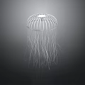 Elegant Aquatic Animal Jellyfish With Long Transparent Tentacles Against Dark Background Shiny White Structure