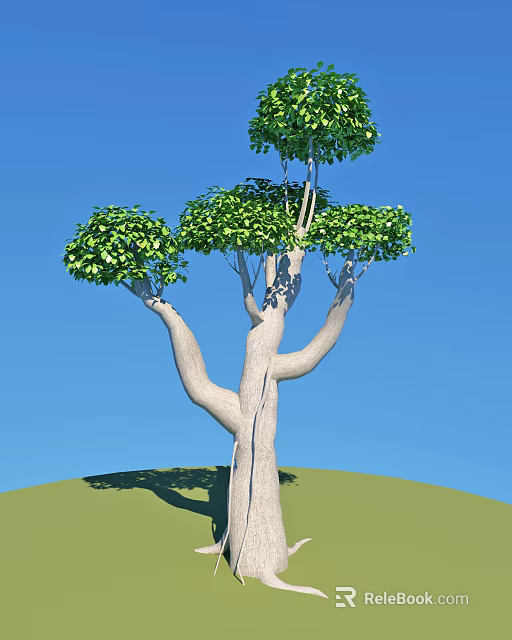 Tall Arbor With White Trunk Multiple Branches And Lush Green Foliage Against Blue Sky 3d model 