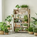 Indoor Potted Plants Display On Multi Tiered Wooden Shelf With Various Green Plants