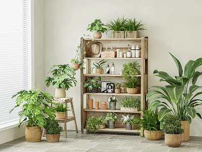 Indoor Potted Plants Display On Multi Tiered Wooden Shelf With Various Green Plants 3d model