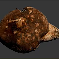 Fresh Organic Mushroom With Brown Cap And White Stem Close Up View