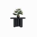 Black Console Table With Potted Green Plant In Modern Decorative Style