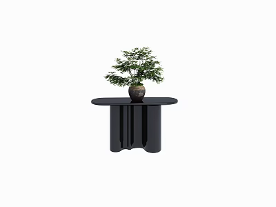 Black Console Table With Potted Green Plant In Modern Decorative Style 3d model