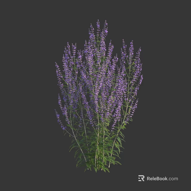 Elegant Purple Herbaceous Flowers With Slender Stems And Lush Green Leaves 3d model 