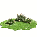 Green Grass Field With White And Light Pink Flower Bushes And Small White Blossoms
