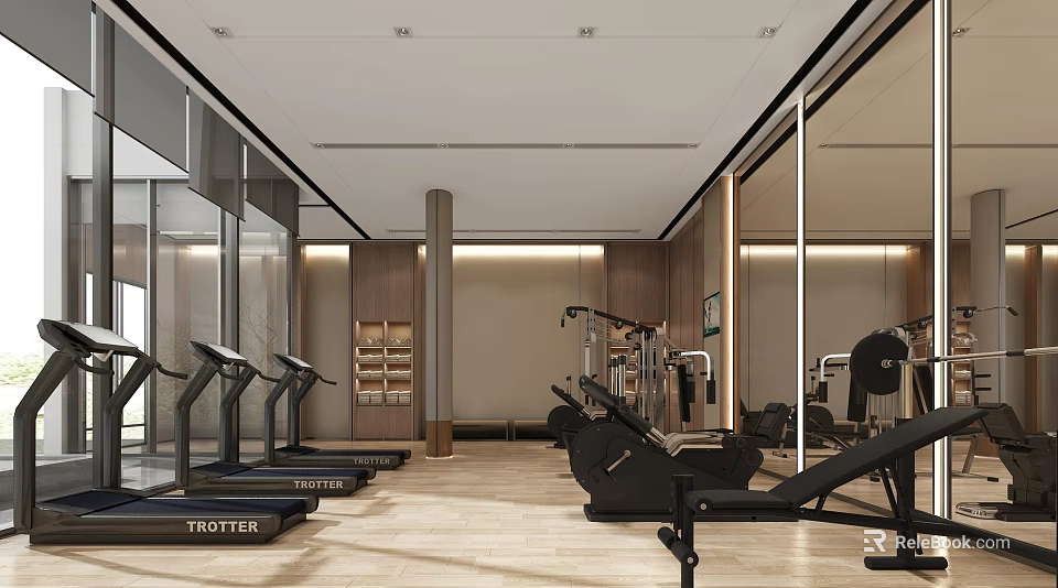 Modern Gym Interior With Trotter Treadmills Rowing Machines And Mirror Walls 3d model 