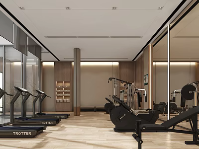 Modern Gym Interior With Trotter Treadmills Rowing Machines And Mirror Walls 3d model