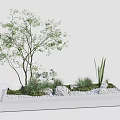 Decorative Plant Arrangement With Tree Small Plants Stones And Pebbles In Rectangular Container 3d model