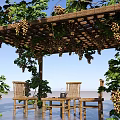 Pergola with Green Vines and Grapes Over Wooden Chairs and Table in Outdoor Patio