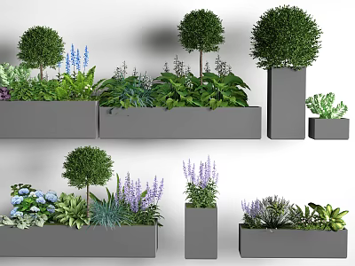 Modern Planter Display With Topiary Trees Purple Flowers Green Herbs And Succulents 3d model