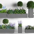 Modern Planter Display With Topiary Trees Purple Flowers Green Herbs And Succulents