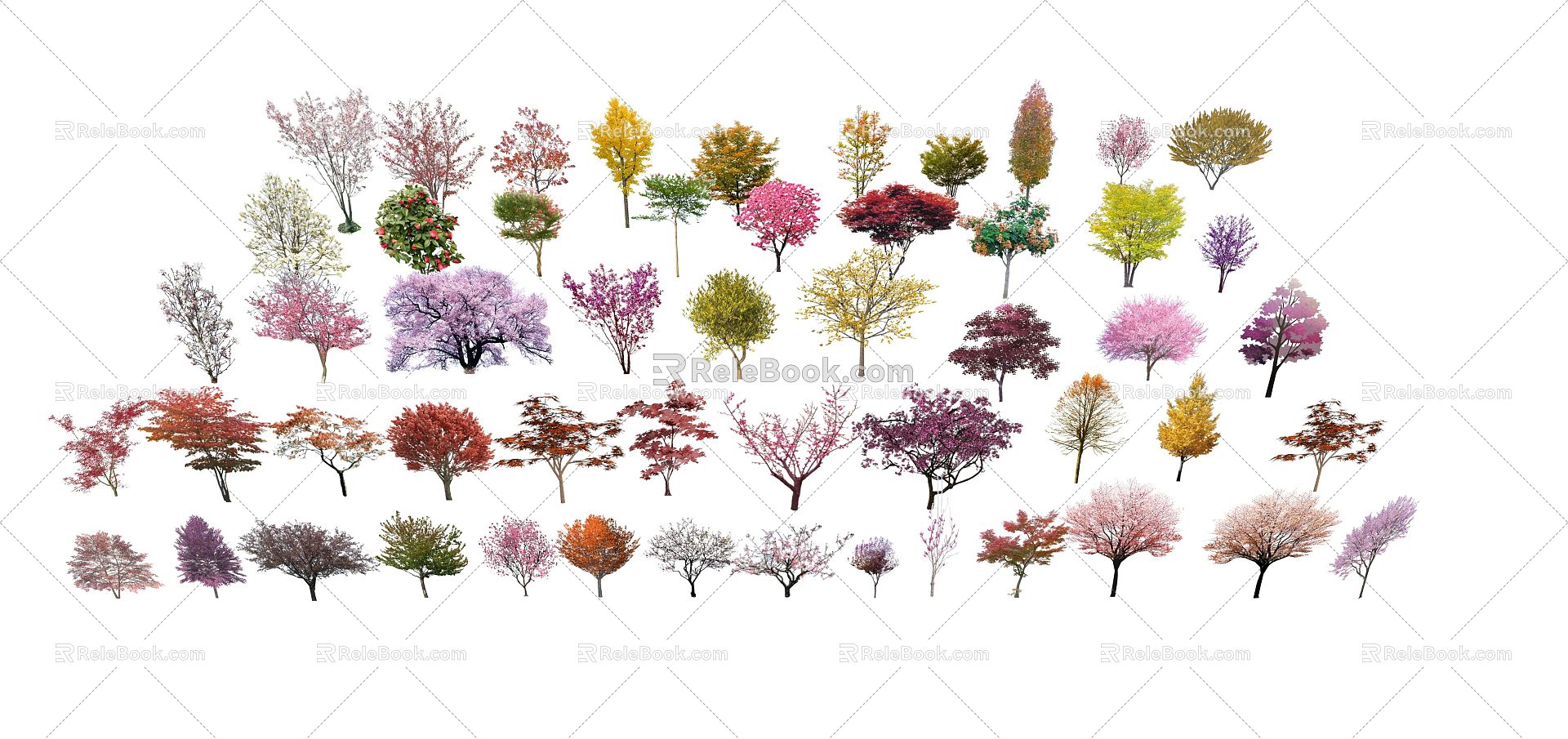 Modern flowering trees, shrubs and leafy plants model