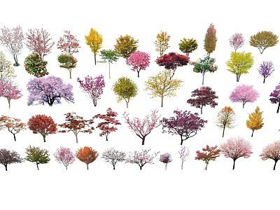 Modern flowering trees, shrubs and leafy plants model