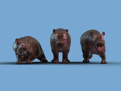 Modern Hippo Hippo Cub 3d model Modern Hippo Hippo Cub 3d model