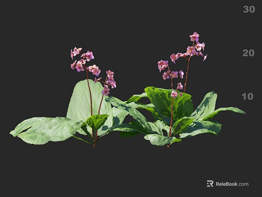 Elegant Decorative Vase With Lush Pink Flowers And Green Leaves For Home Decoration 3d model 