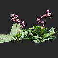 Elegant Decorative Vase With Lush Pink Flowers And Green Leaves For Home Decoration