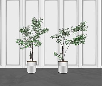 Modern Potted Plant 3d model