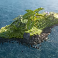 Lush Tropical Plant Combination on Stone Edged Water Island with Ferns and Purple Flowers