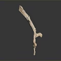 Natural Decorative Wooden Branch Sculpture With Curved Shape Texture On Gray Background