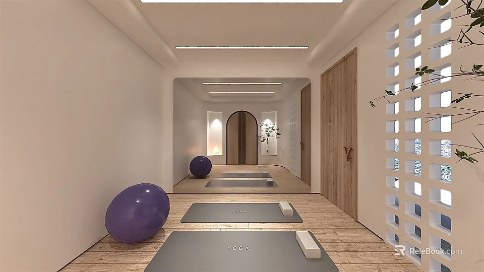Spacious Yoga Fitness Studio With Gray Mats Purple Exercise Balls And Wooden Floors 3d model 