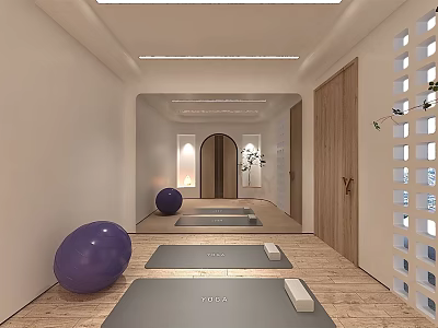 Spacious Yoga Fitness Studio With Gray Mats Purple Exercise Balls And Wooden Floors 3d model