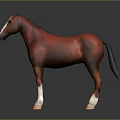 Red Horse 3D Model With White Face And Legs Standing On Dark Background