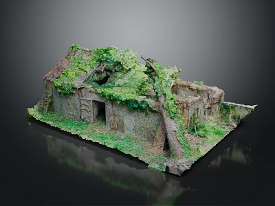 Cartoon Scene Of Abandoned Cottage Covered With Green Vines Broken Roof And Lush Plants 3d model
