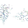Transparent Bubbles Gently Floating On Black Background With Scattered Flowing Patterns