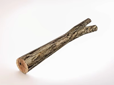 Natural Wooden Branch Decorative Ornament Set With Rustic Surface Texture For Home Decor 3d model