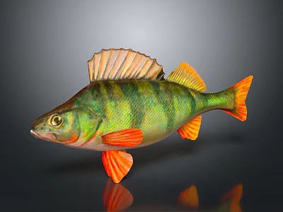 Vibrant Striped Aquatic Animal Fish With Green Body And Orange Fins Featuring Reflection 3d model