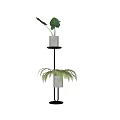 Indoor Potted Plants On Two Tier Black Stand With Gray Pots And Fern