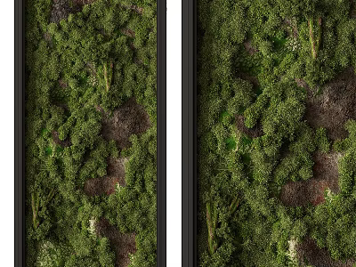 Lush Green Plant Wall Decoration With Various Greenery And Stunning Indoor Visual Effect 3d model
