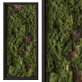 Lush Green Plant Wall Decoration With Various Greenery And Stunning Indoor Visual Effect