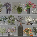 Beautiful Vase and Flower Arrangements on Shelves with Various Colors and Types